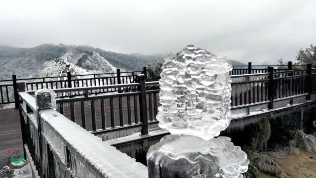 �ߡ�������ȥ��Ұ�񺣵ĳ�ѩ��