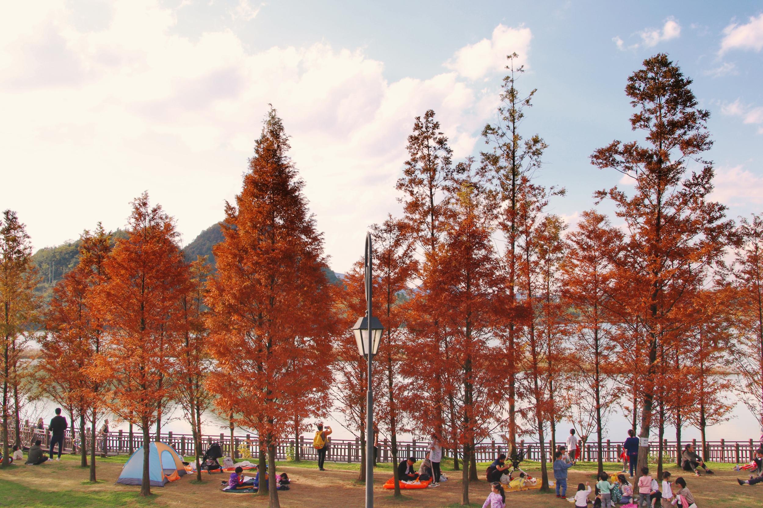 ��������ͼ������������ ��ʰ��������
